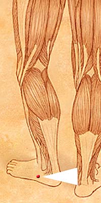 BL63 . Jin Men